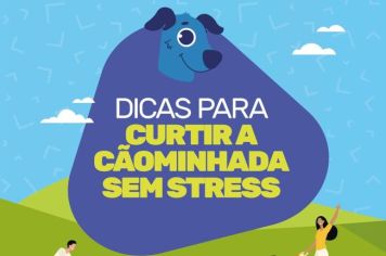 Dicas foram preparadas para que os participantes possam curtir a Cãominhada com segurança