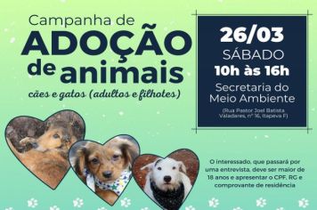 CAMPANHA DE ADOÇÃO DE ANIMAIS ACONTECE NESTE SÁBADO (26)