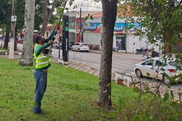 Podas de árvores, Roçada e Limpeza seguem em diversos pontos de Itapeva