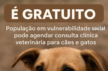 População pode agendar consulta veterinária para cães e gatos