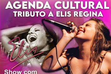 Show tributo a Elis Regina acontece nesta sexta (28)