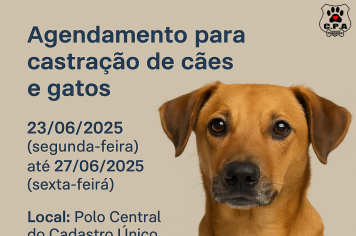 Agendamento para castração de cães e gatos terá início na próxima segunda-feira (23)