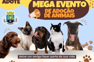 Mega evento de adoção de animais acontece neste sábado (14)
