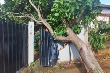 Defesa Civil registra ocorrências pontuais após chuvas e ventos em Itapeva