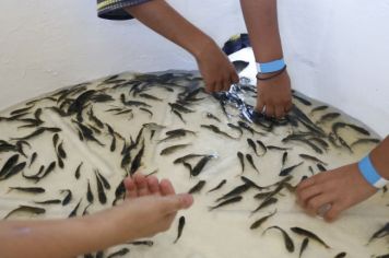 Soltura de peixes será realizada no Parque Pilão D’água