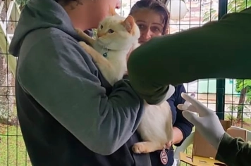 Secretaria Municipal de Saúde realiza a vacinação de 36 cães e 10 gatos na Vila Aparecida