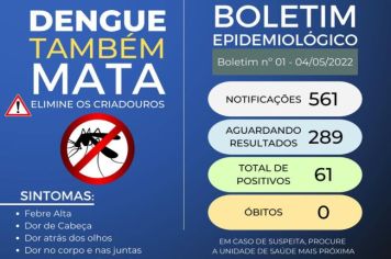 Confira o boletim epidemiológico da dengue