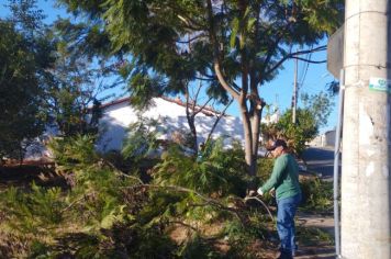 Serviços de roçada acontecem no Jd. Virgínia