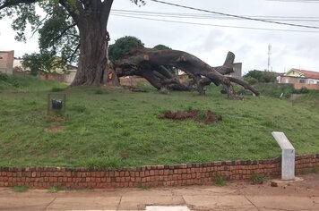 Prefeitura realiza serviços de limpeza urbana em diversos pontos da cidade