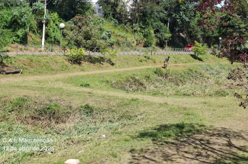 Serviços de roçada na Av. Mario Covas são realizados
