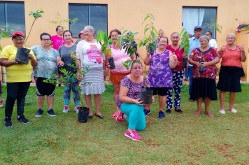 Secretaria de Desenvolvimento Social realiza o plantio de árvores frutíferas pelos idosos do Cras Santa Maria