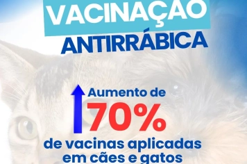 Itapeva fortalece ações de vacinação antirrábica e registra aumento significativo de doses aplicadas 