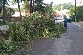 Serviços de roçada e limpeza seguem em diversos pontos da cidade 