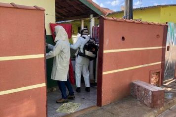 Nebulização contra o mosquito Aedes aegypti