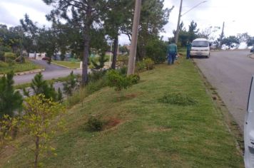 Diversos locais da cidade recebem serviços de roçada e limpeza