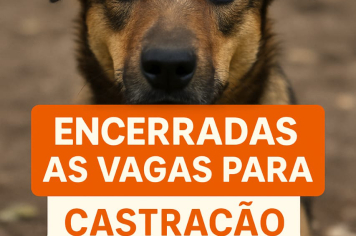 Encerradas as vagas para agendamento para castração de cães e gatos