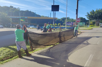 Serviços de Zeladoria Urbana são realizados de forma ininterrupta 