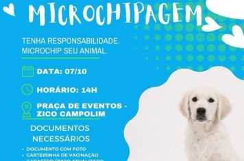 População de baixa renda pode realizar gratuitamente a microchipagem animal 