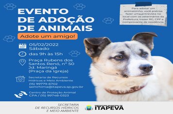 Evento de adoção de animais acontece neste sábado (05)