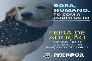Prefeitura realiza feira de adoção animal neste sábado (04)
