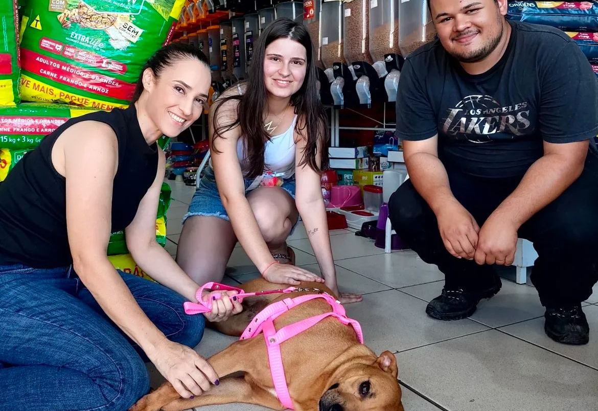 Mais cães e Gatos encontram novos lares