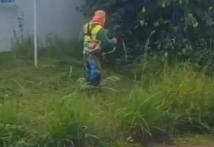 Serviços de roçada e limpeza são realizados em diversos pontos da cidade