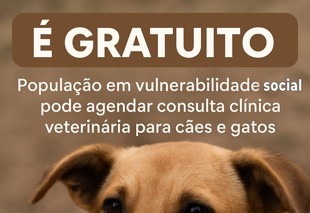 População pode agendar consulta veterinária para cães e gatos