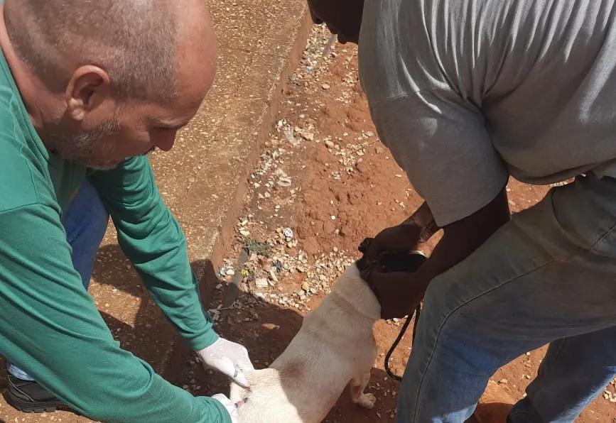 Secretaria Municipal da Saúde imuniza 71 cães e 3 gatos no Quilombo do Jaó
