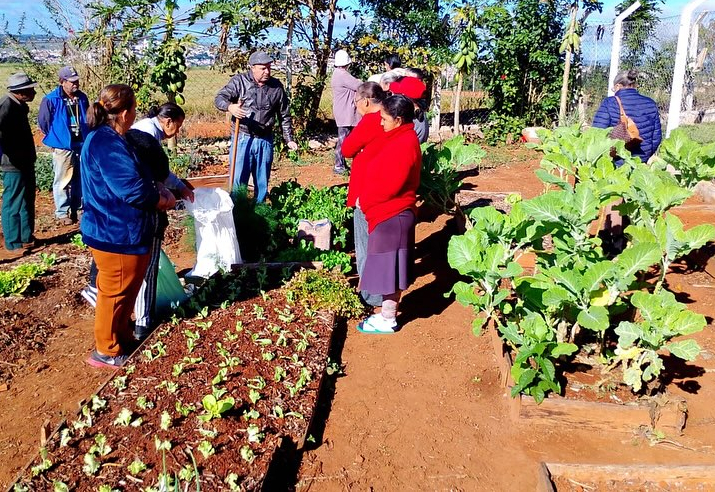  Idosos assistidos pelo CRAS Santa Maria participam de projeto de Olericultura
