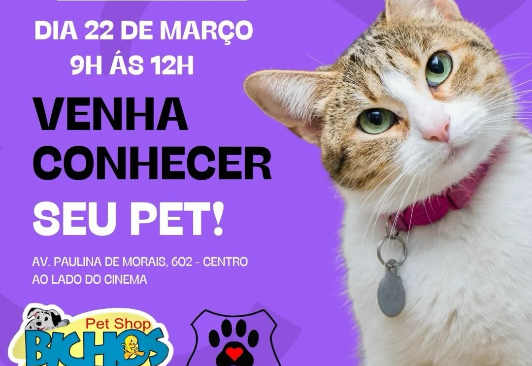 Mais uma Feira de Adoção Animal acontece neste sábado (22)
