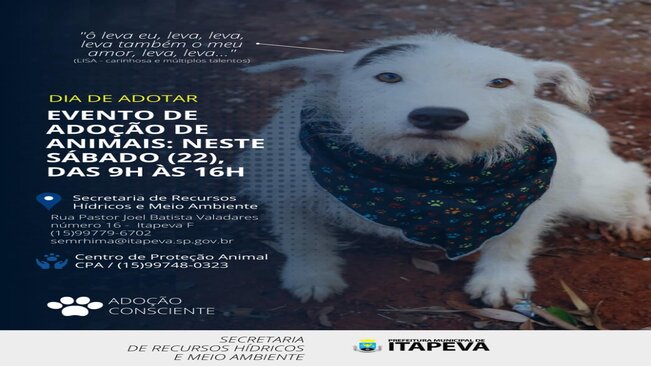 Secretaria de Recursos Hídricos e Meio Ambiente promove evento de adoção de cães e gatos neste sábado(22)