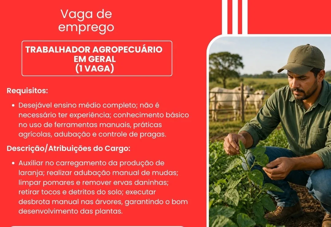 PAT divulga a abertura de novas vagas de emprego em Itapeva