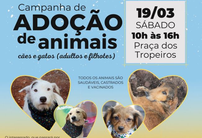 CAMPANHA DE ADOÇÃO DE ANIMAIS, NESTE SÁBADO (19), NA PRAÇA DOS TROPEIROS