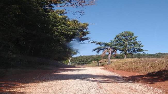 Secretaria de Transportes e Serviços Rurais realiza serviços de manutenção nas estradas dos Bairros do Jaó, das Marias e dos Prestes