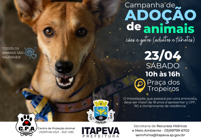 Campanha de Adoção de Animais